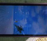 Buy tecno y6 for as low as 10k