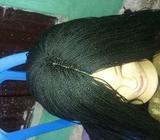 Bred wig colour 1