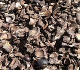 Pks for sale in large quantity