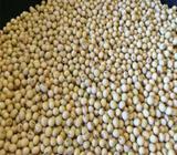 Soya beans price for sale in large amount