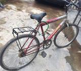 Gearless bike for sale