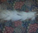 Traditional bridal costume full set