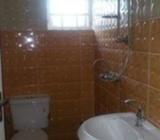 Lovely and massive 2 bedroom flat