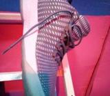 Original fordan canvas