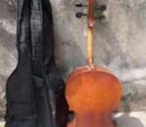 Fairly used professional cello