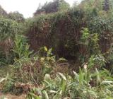 One and half plot of land at command b4 omi adio