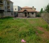 About 700sqm Of Solid Land With A Bungalow