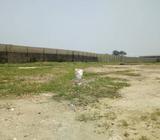 3 Plots Together