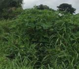 Plot of land for sale at Aare,oluyole estate