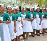 Lagos State School Of Nursing (S.O.N.), Military Hospital, Yaba 2025/2026 SCREENING/ADMISSION Form i