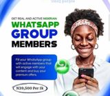 Active Nigerian WhatsApp, Telegram Group Members (100% Verified)